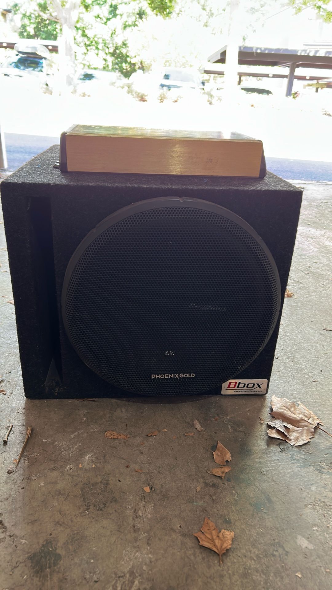 Phoenix Gold Sx 12 Inch Sub