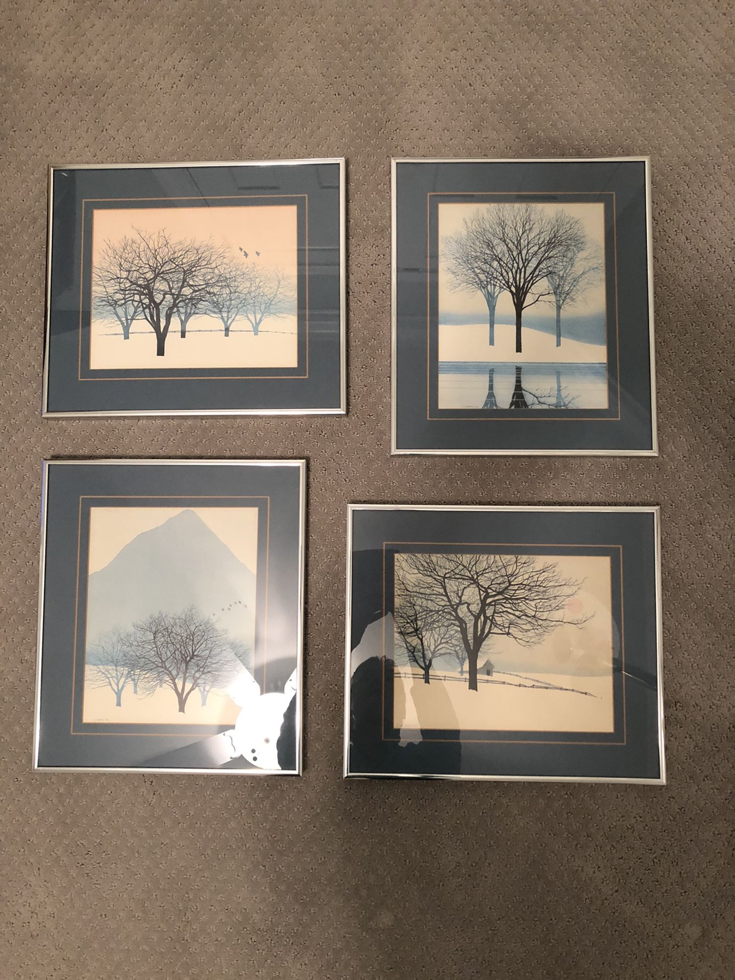 Framed pictures