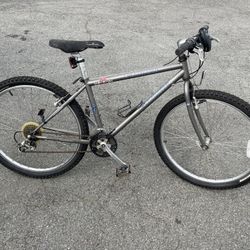 Specialized RockHopper Mountain bike 
