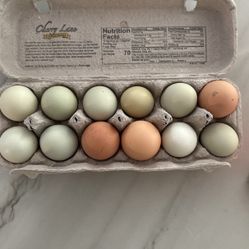 Farm Fresh Eggs