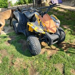 Bombardier Kids Quad