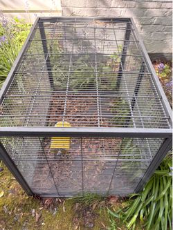 Free large pet/rodent cage-Lynnwood