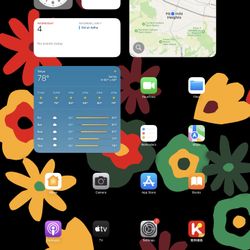 Ipad pro 12.9  2nd WIFI&4G