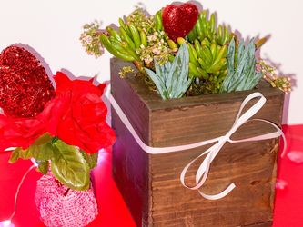 Custom succulent wooden boxes