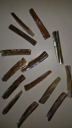 Pretty shell beads