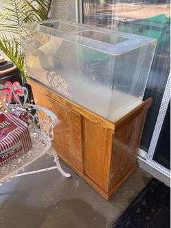 Fish Aquarium