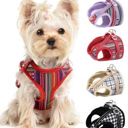 Collar Para Yorkie Machos