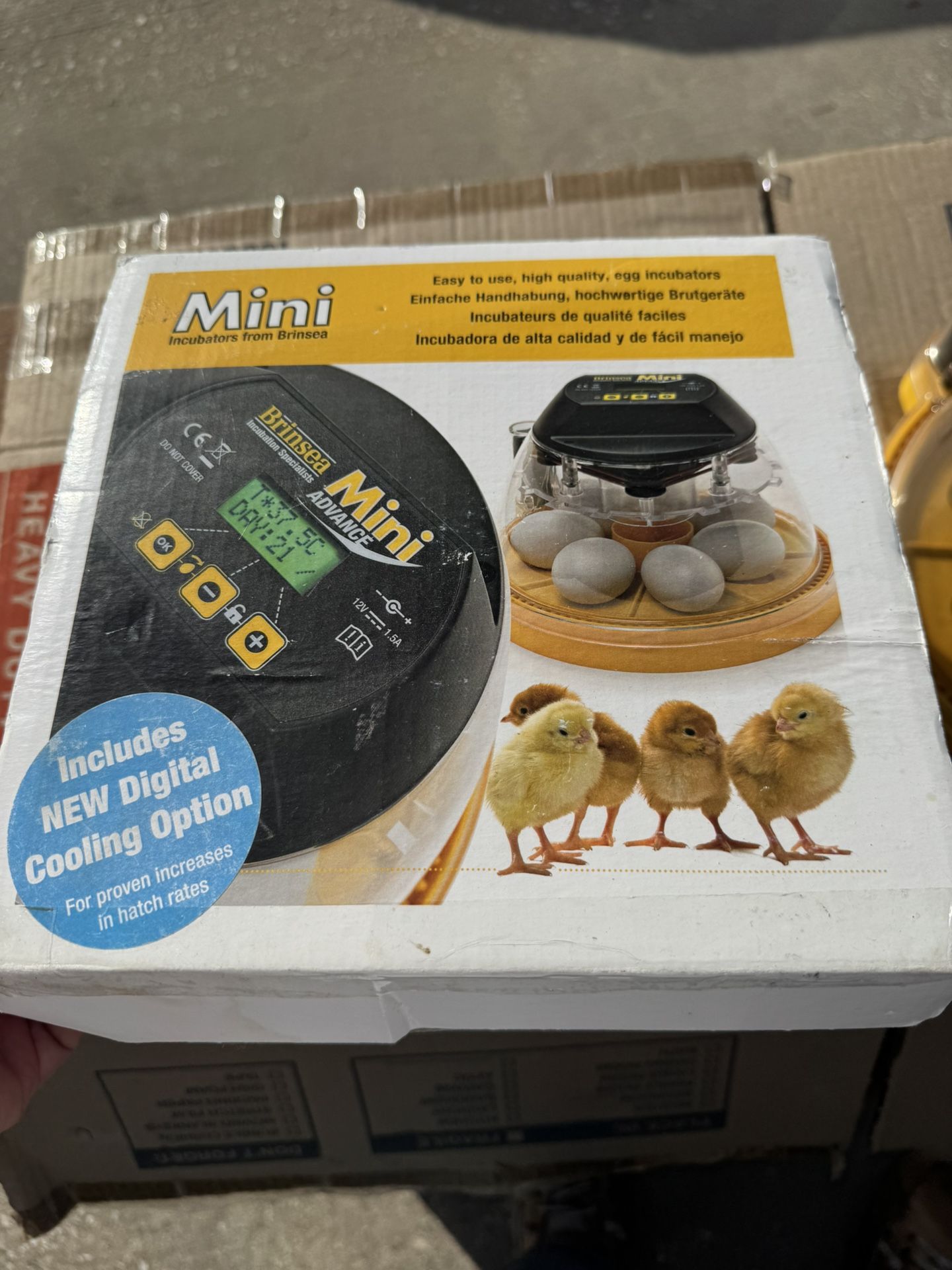 Digital Egg Incubator