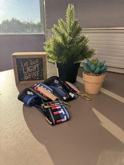 Purse strap