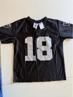 Randy moss raiders jersey (kids)