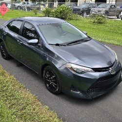 2019 Toyota Corolla 