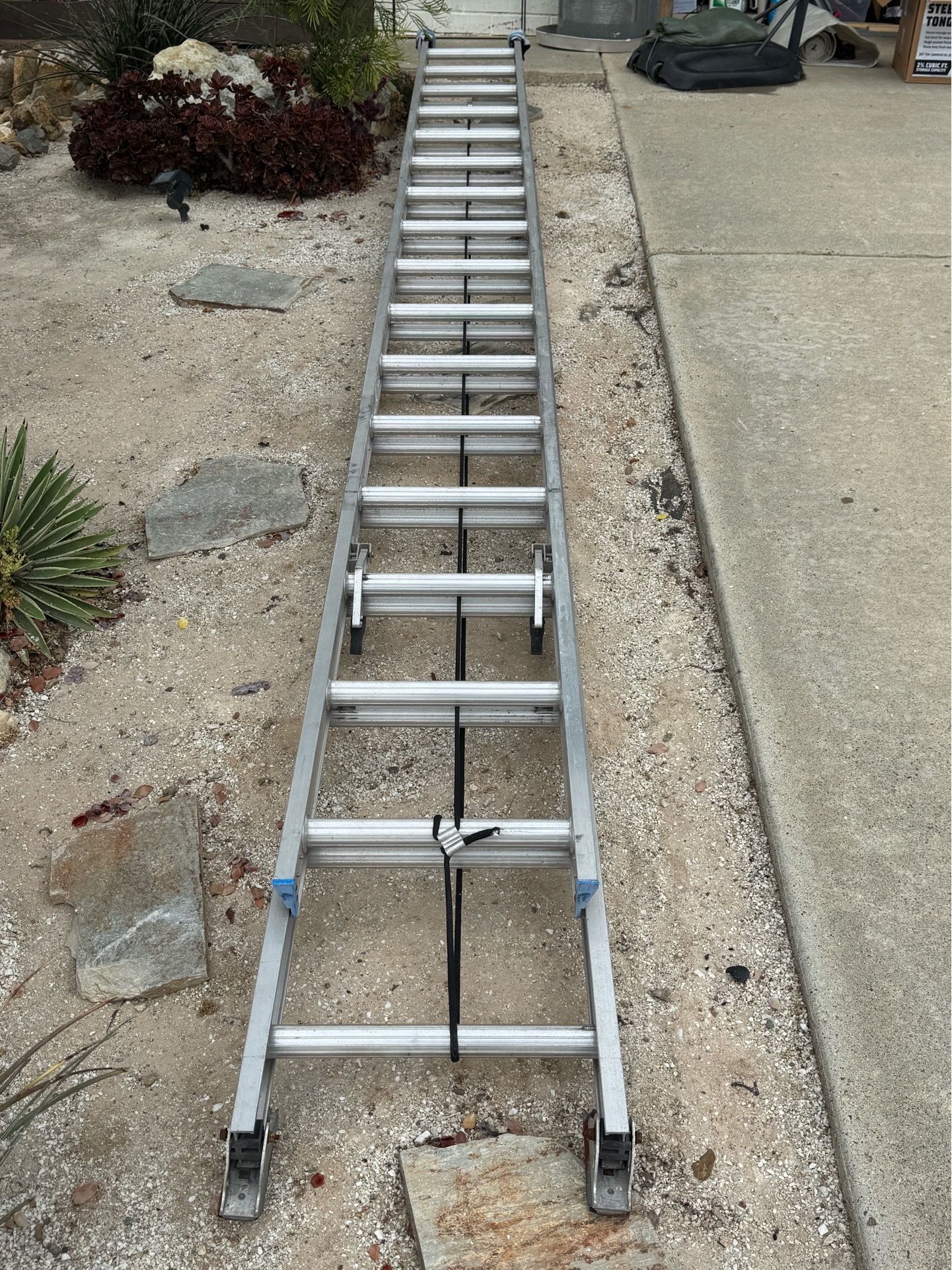 ladder