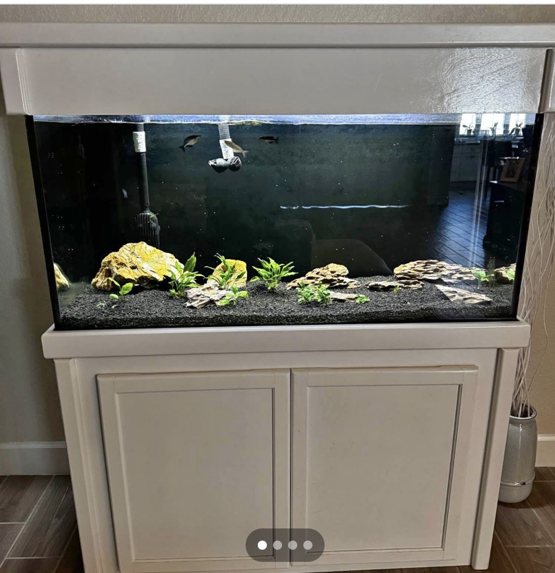90 Gallon Aquarium