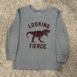 Dinosaur Shirt 