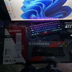 Streamer Gaming Setup 