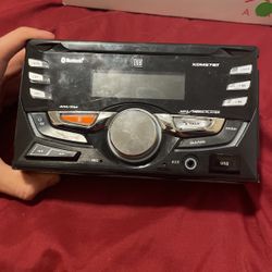 Dual Bluetooth Radio 