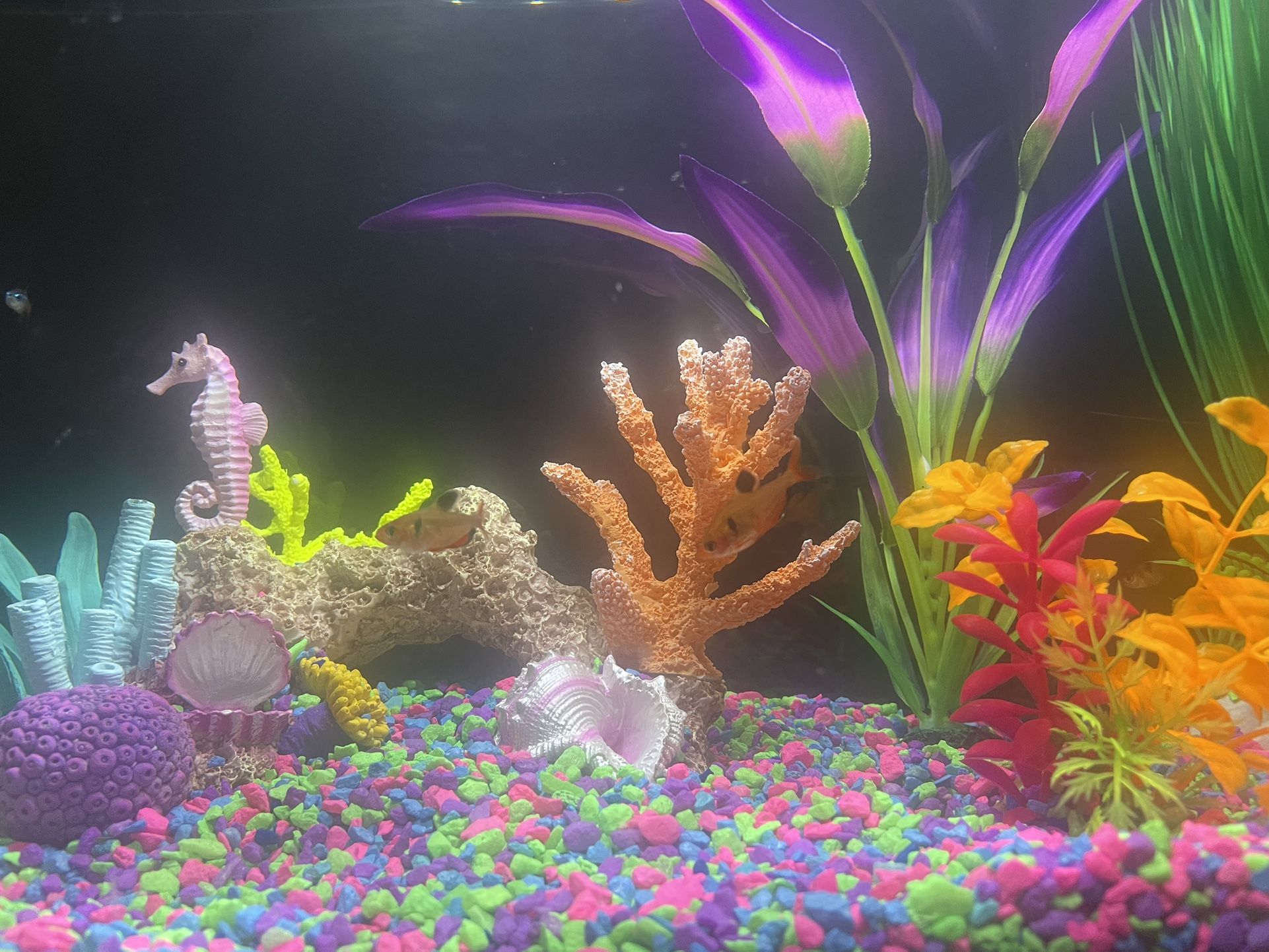 Ten-gallon Fish Tank Like New