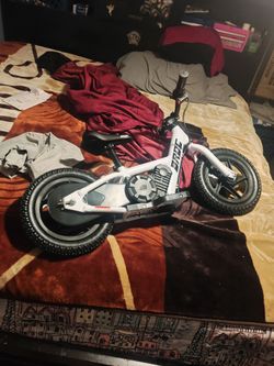 Electric bike