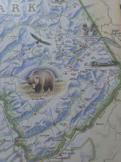 Beautifuly drawn map of Glacier National Park in Canada created by Robitaile 18x24" In VG condition