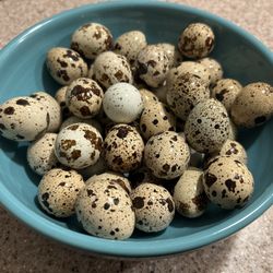 Quail Eggs