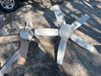 Ceiling Fans