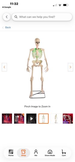 Skeleton 6.5ft