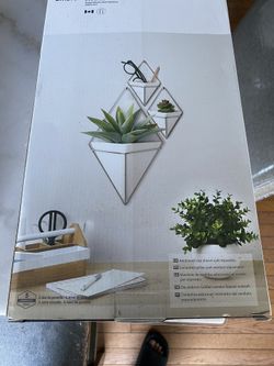 Wall Decoration