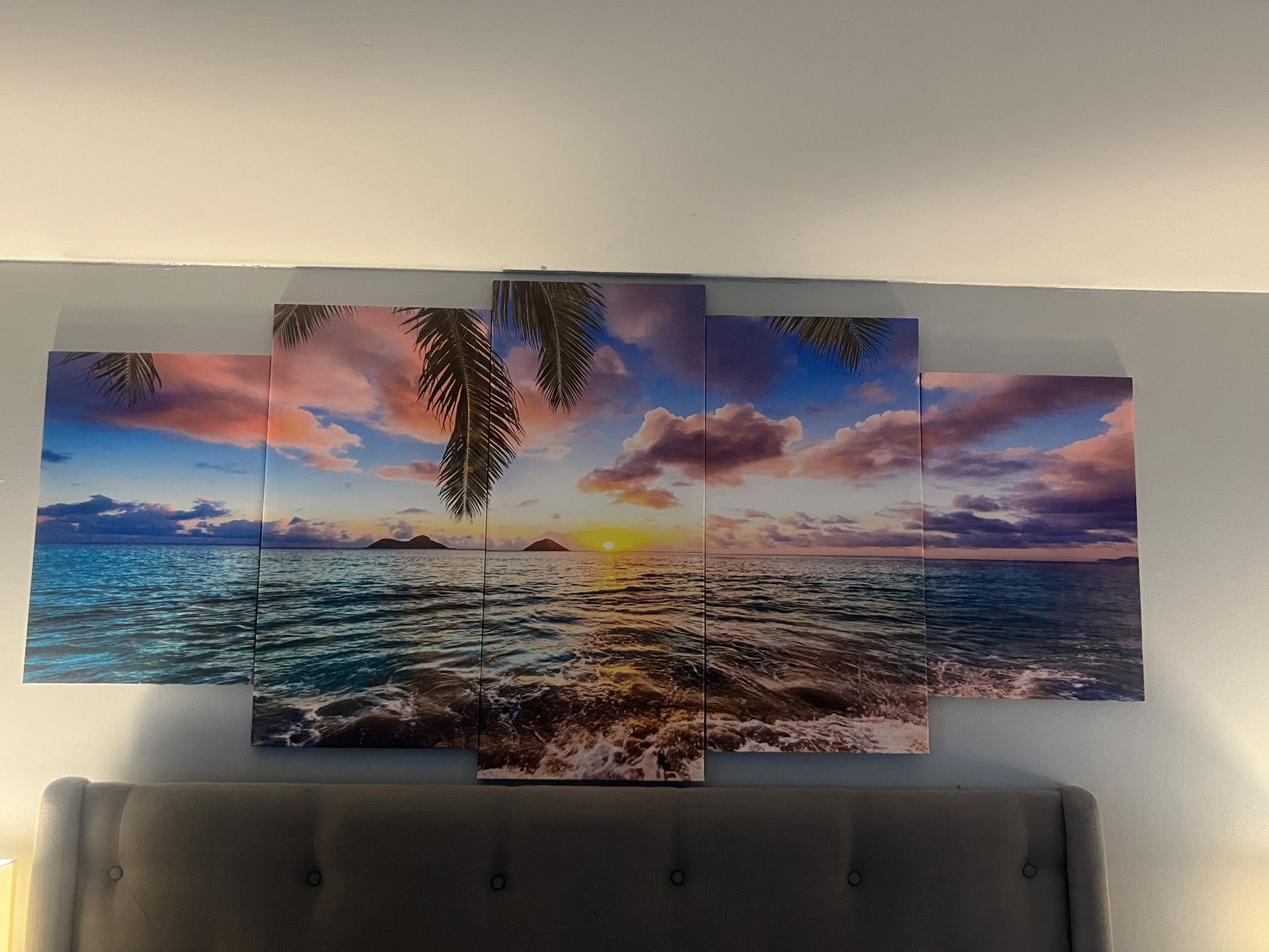5pc Canvas Pianting