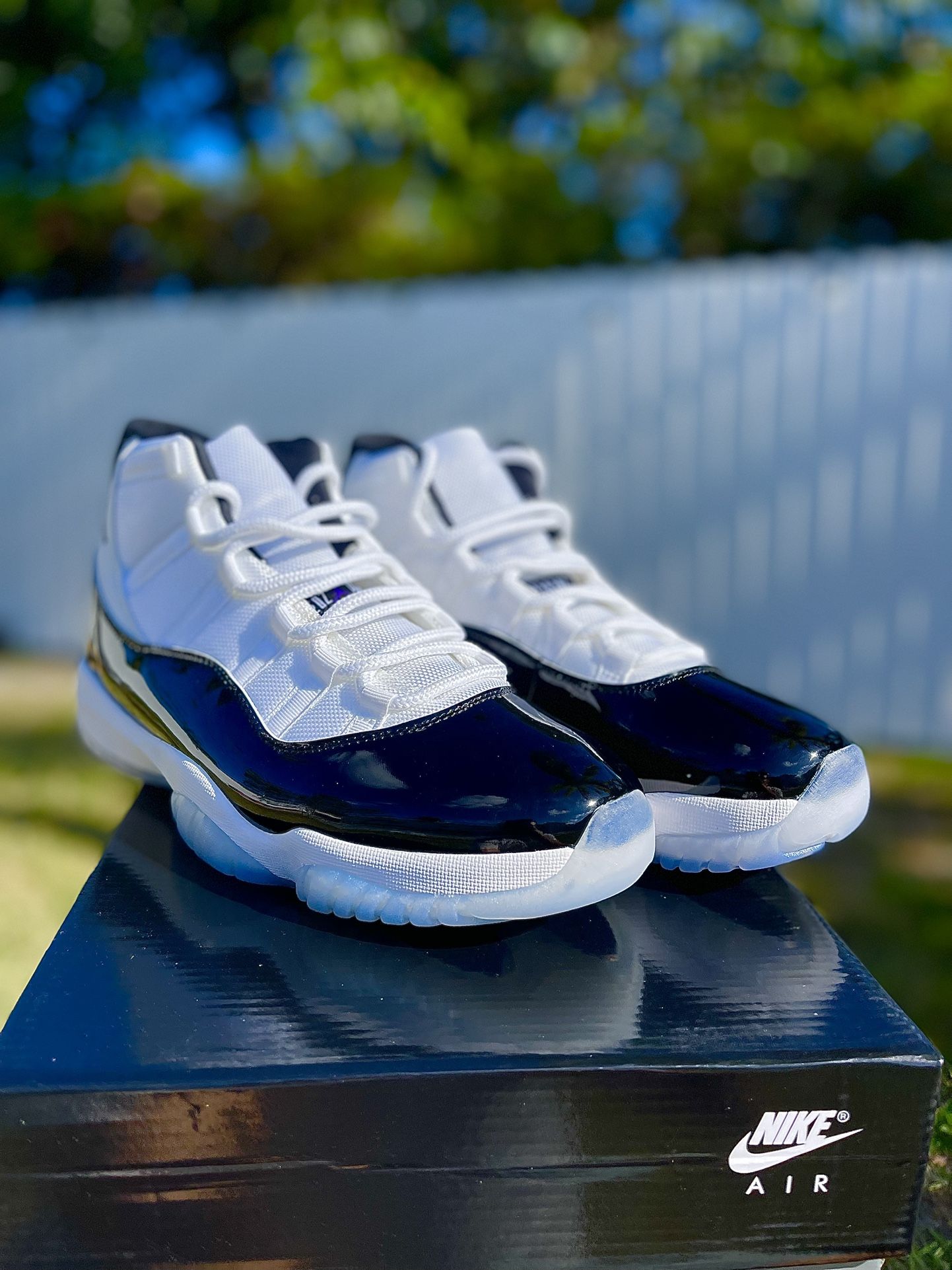 Jordan 11 ‘Concords’