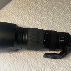 Nikon 200-500mm Zoom