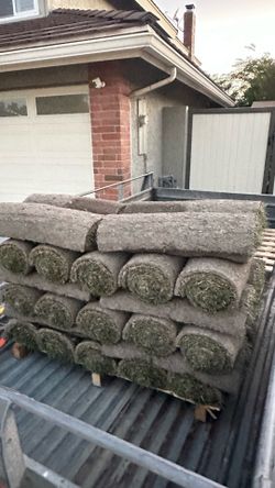 New today at 12pm cut and picked up  up leftover from california Sod.
