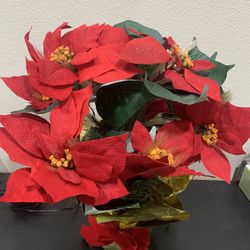 Fiber Optic Christmas Pointsettia