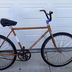 1965 schwiin varsity