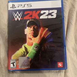 Wrestling game PS5