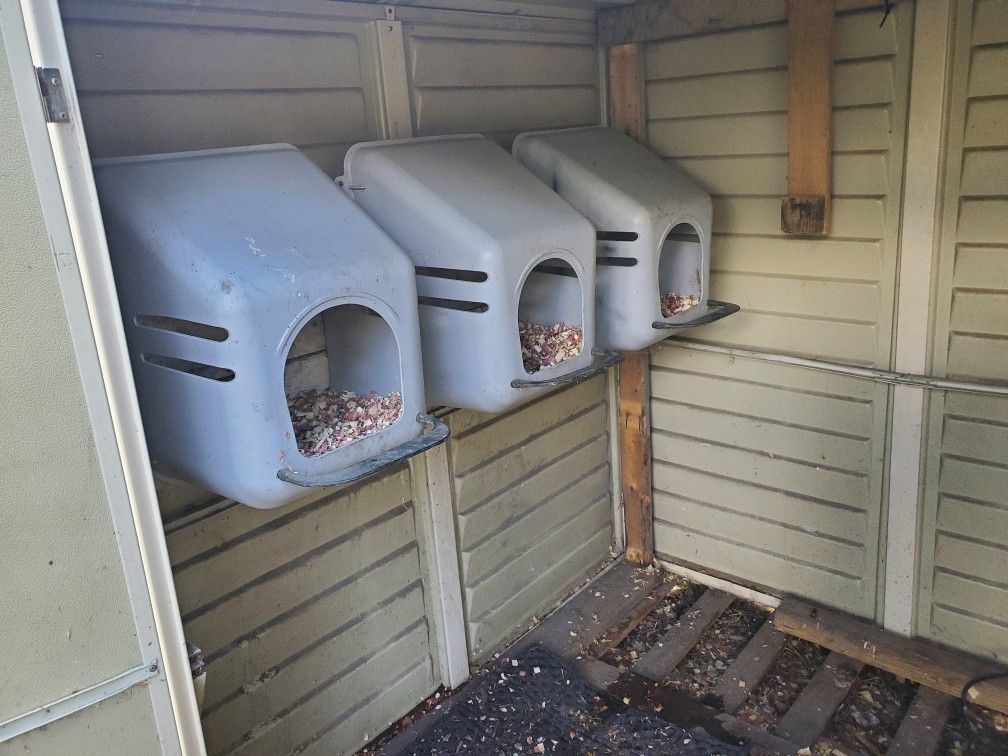 Chicken Nesting Boxes
