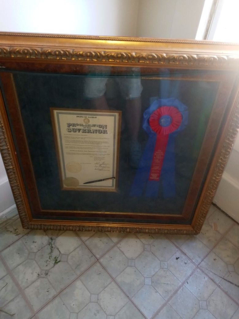 Proclanation governor reward