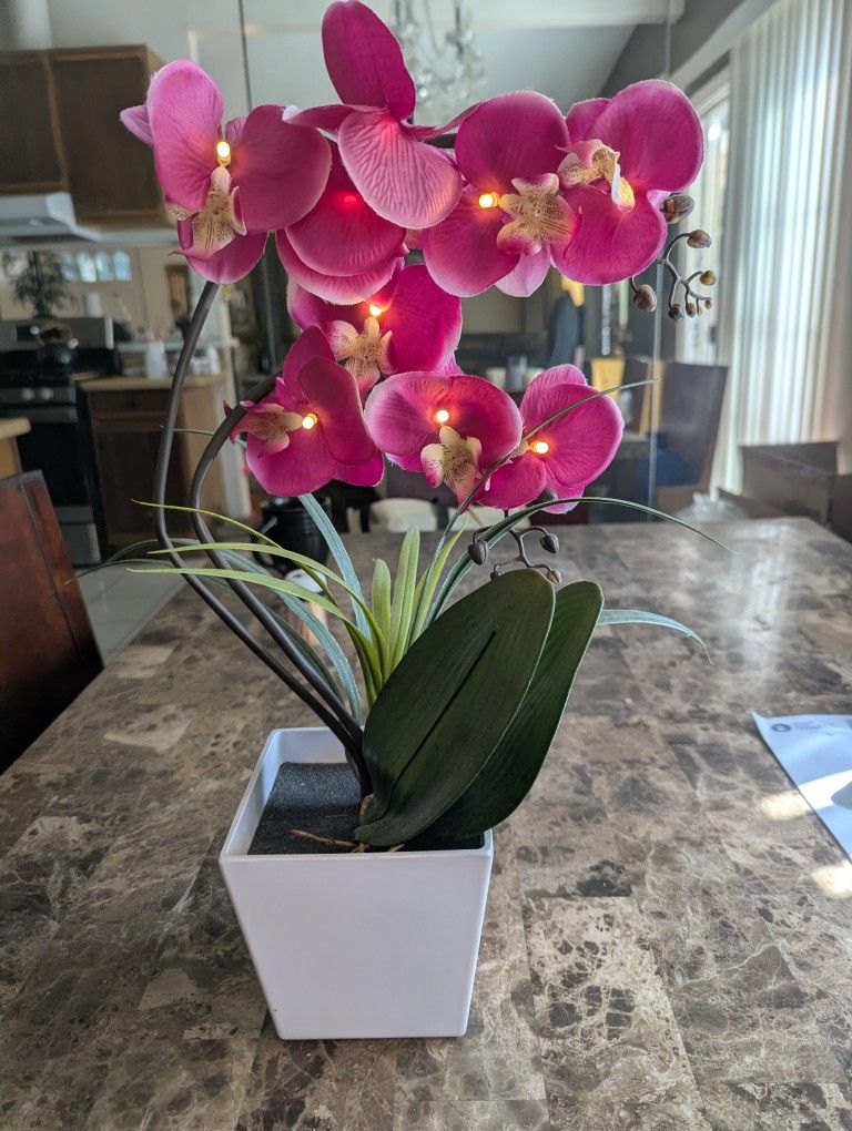 Flower Vase With Lights