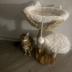 Mini Cat tower 