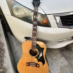 Guitar 