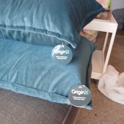 Two Throw Pillows