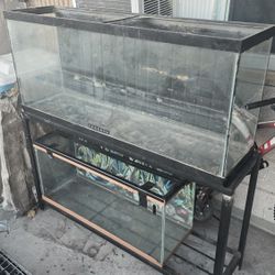 Dual Fish Tank Stand And 2 Tanks