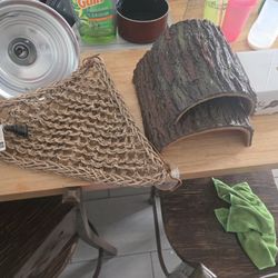 Bearded Dragon Habitat 