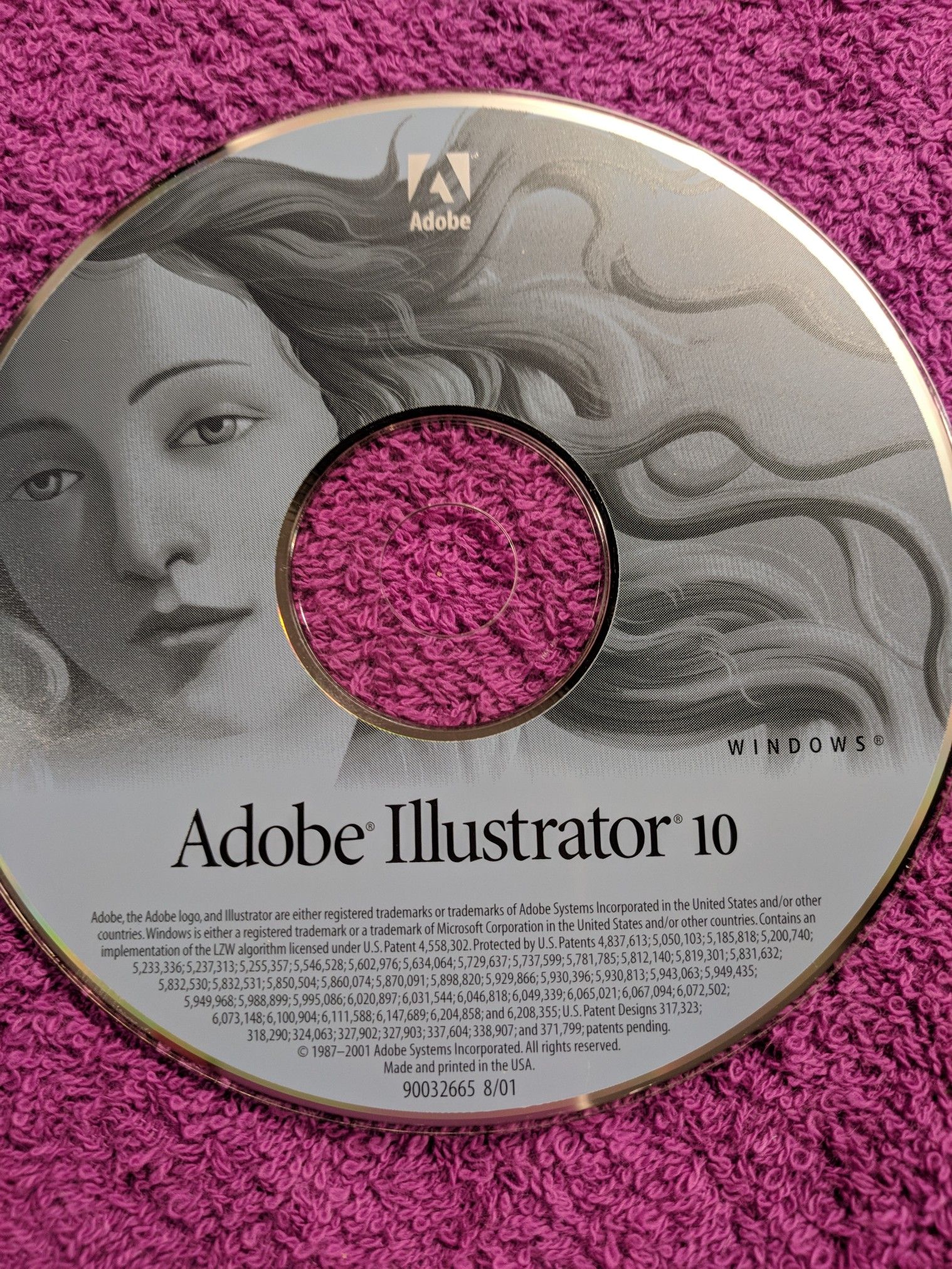 Adobe Illustrator 10: Windows