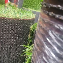 Turf Roll- Artificial--Oasis 98 : $400