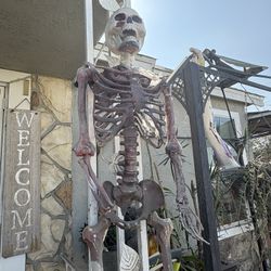 3 Posable Skeletons For $60