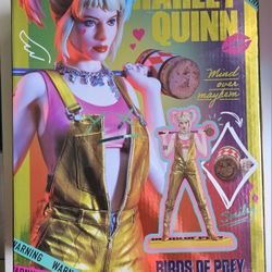 Harley Quinn Mini Figure 1/6 Scale