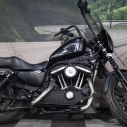 2015 Harley-Davidson® XL883N - Sportster® Iron 883™