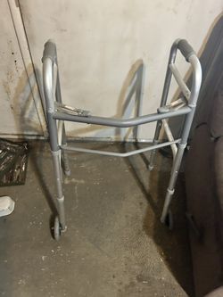 Adult Walker