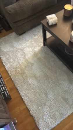 Rug. Beige. 5x7