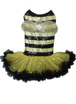 Brand New Bumble Bee Dog Costume-med